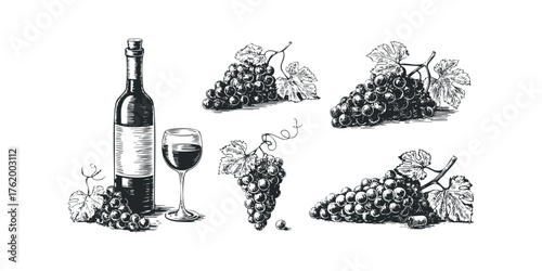 Still life drawing of wine bottle, glass and grapes