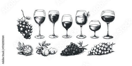 Collection of Wine Glasses and Grapes in Sketch Style