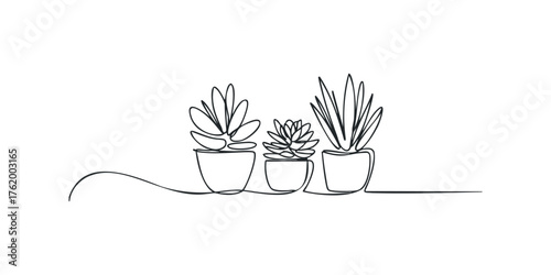 Minimalist Potted Succulent Plants Line Drawing