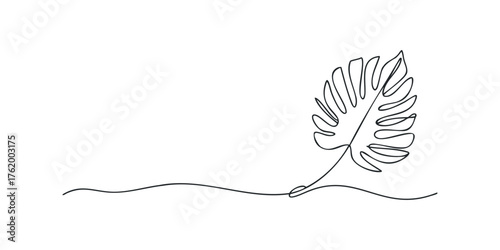 Monstera leaf drawn with single continuous line on white