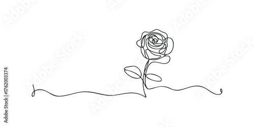 Single line rose flower outline