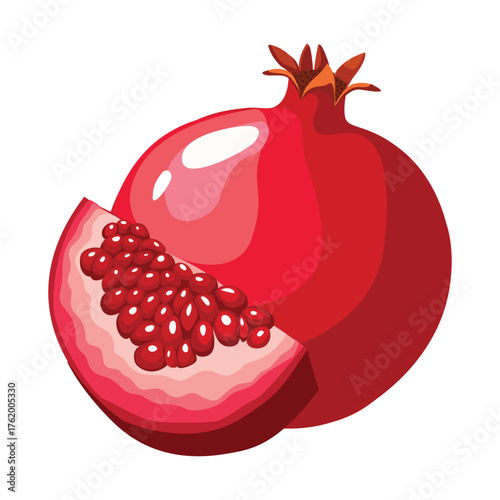 Pomegranate, vector illustration. Highlights, shadows, bright design