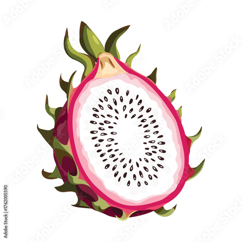 Pitaya, vector illustration. Highlights, shadows, vibrant design.