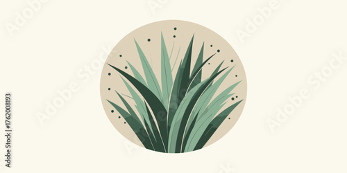 Minimalist botanical illustration of a succulent plant in a circular frame. Modern, natural design element for wellness and decor