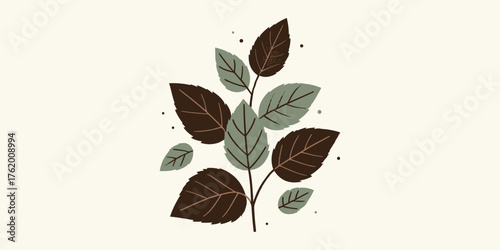 A botanical illustration of a branch with dark brown and muted green leaves, isolated on a cream background, representing natural beauty and organic elements