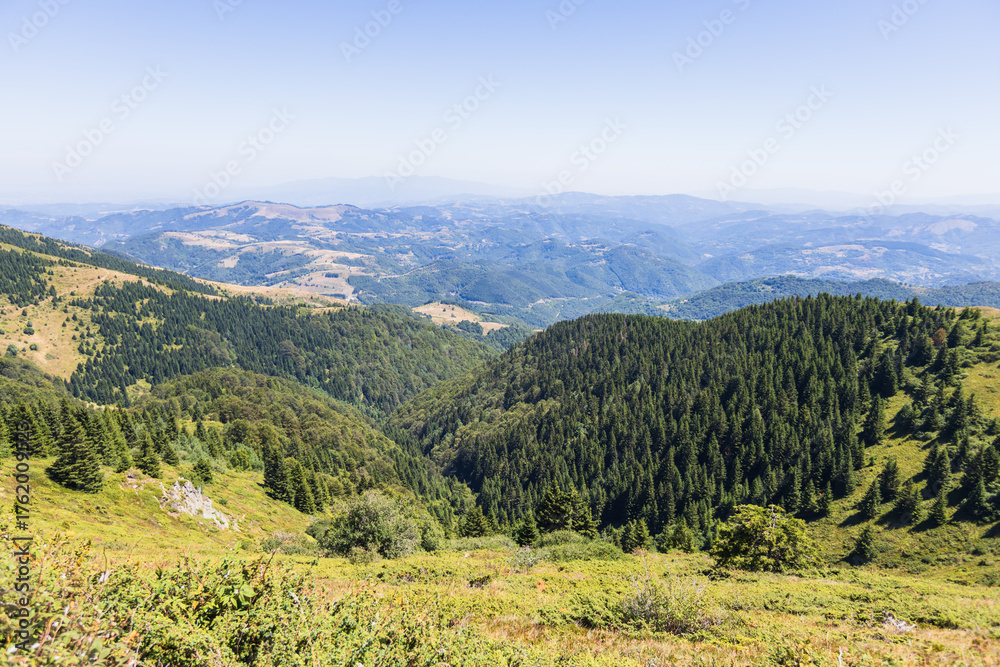 Fototapeta premium Panoramic mountain valley view with rolling hills and evergreen forest