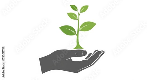 A hand holding a plant with green leaves, this represents growth, nature, and environmental sustainability
