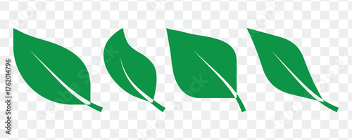 Leaves vector icon set, leaf herb green simple graphic pictogram illustration isolated cut out image, small branch shape silhouette as eco or organic element symbol clip art label