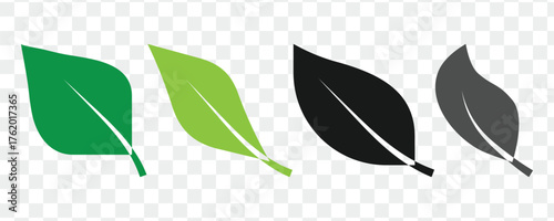 green leaf icon vector design