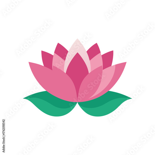 Pink Lotus Flower Blooming Vector Illustration