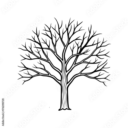 Bare Tree Minimal Line Drawing Vector Art