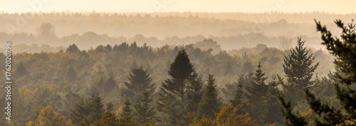 Treetop view panorama in autumn - Hondsrug, Drenthe, The Netherlands.