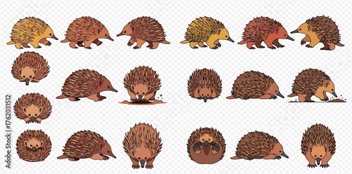 Collection of echidna illustrations in various poses and colors, pixel art style.