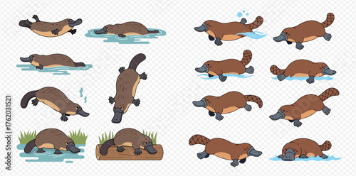 A cartoon illustration featuring a collection of platypus in various poses and activities.