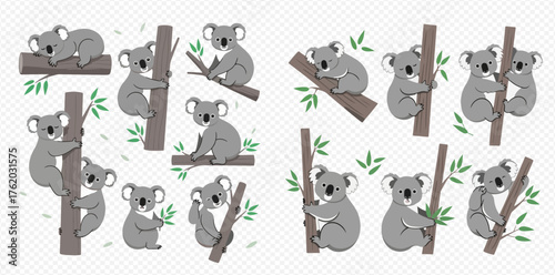 A collection of cartoon koalas in various poses on branches and tree trunks.