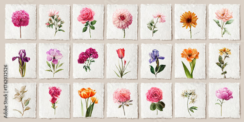 Collection of delicate watercolor floral illustrations isolated on white background
