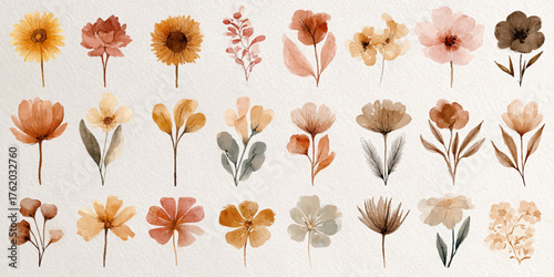 Collection of dried flowers and leaves in various warm earthy tones isolated on white background