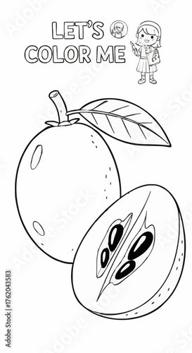 Drawing a single page about sapodilla