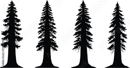 Conifer tree silhouette, pine forest illustration, evergreen vector art, black tree icon, nature clipart, fir tree graphic, woodland design