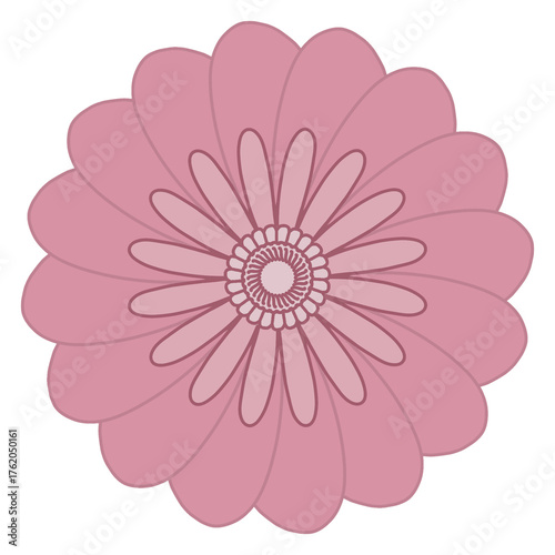 pink flower vector