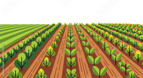 Flat Vector Illustration of Agricultural Field with Rows of Crops and Plants