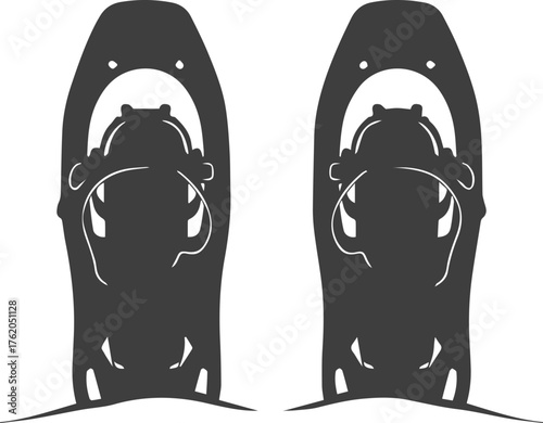 Pair of dark grey snowshoes with white bindings and accents on a white background winter sport