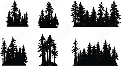 Conifer tree silhouette, pine forest illustration, fir tree group, nature vector, black woodland graphic, evergreen landscape, outdoor design element