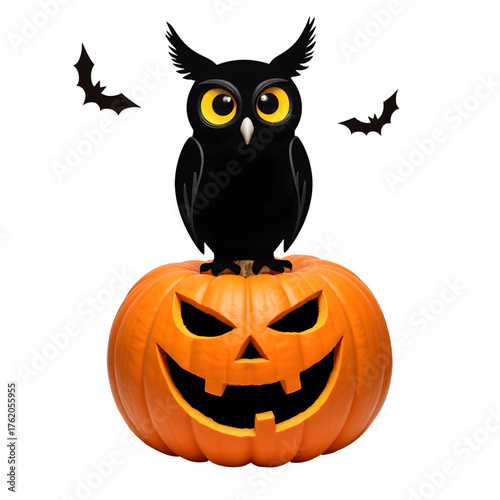 Owl silhouette perched on pumpkin, Halloween celebration