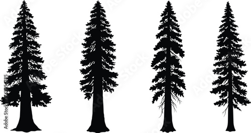 Coniferous tree silhouette collection, pine forest vector, evergreen tree shapes, nature illustration, black tree icons, botanical landscape design
