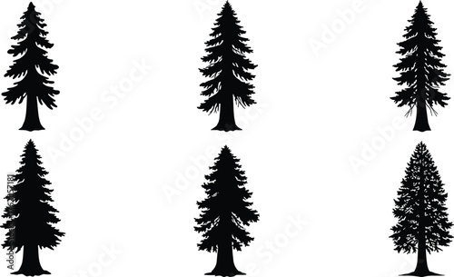 Conifer tree silhouette, pine forest illustration, evergreen vector pack, black tree shapes, nature design, botanical clipart, spruce, fir, cedar