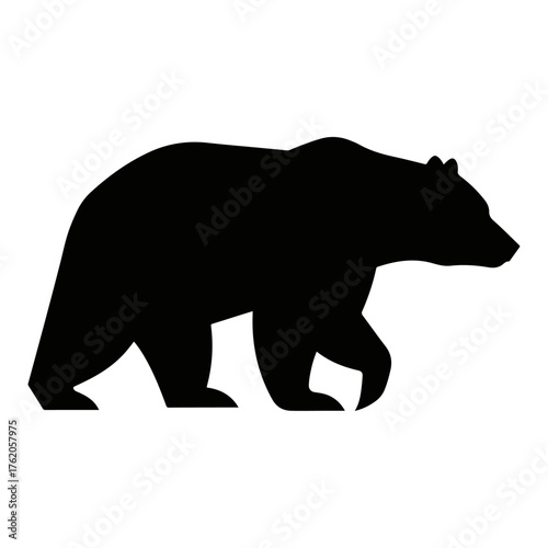 Silhouette of a large bear walking with a determined stride across the frame.