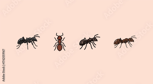Set of four cartoon ant icons in different colors and poses for insect and pest control design