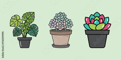 Potted Houseplants Vector Set: Cartoon Illustrations of Monstera and Succulents in Flat Outline Style
