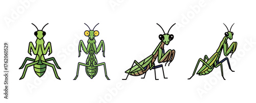 Set of four cartoon praying mantises in different poses, green insect vector illustration.