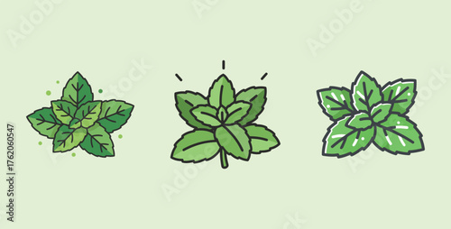 Set of three cartoon fresh green mint leaves, herb plant vector illustration.