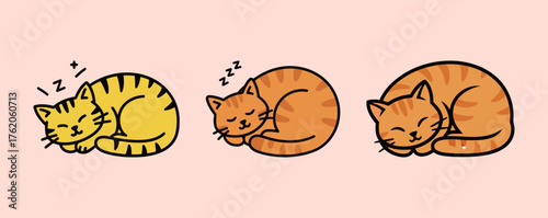 Set of three cartoon sleeping cats curled up, adorable domestic pet vector illustration on pink background.
