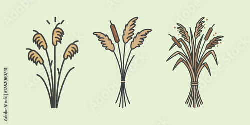 Set of three cartoon bundles of cattails and reeds, marsh or wetland plants vector illustration.