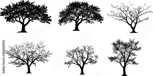 Deciduous tree silhouette, seasonal foliage variation, black vector trees, nature illustration, sparse branches, botanical art, landscape design, forest elements