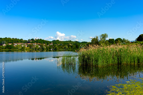 Spring landscape of Lake Comabbio in Varano Borghi, Varese, Lombardy, Italy 