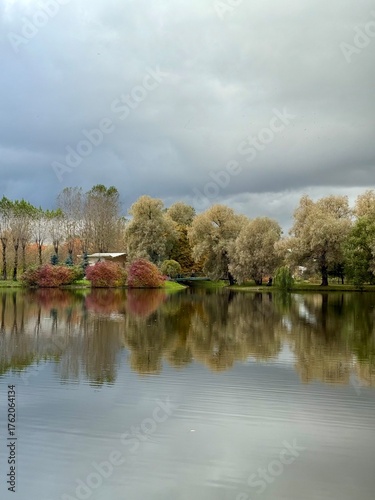 autumn trees reflection on the lake surface in the park, cloudy grey sky