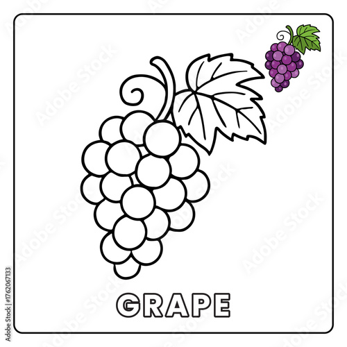 Grape Cute Fruit Children Coloring Page