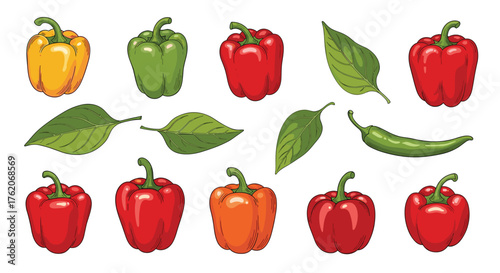 A colorful assortment of bell peppers and a jalapeño with green leaves.