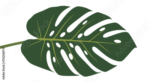 An artistic depiction of a monstera deliciosa leaf with holes.
