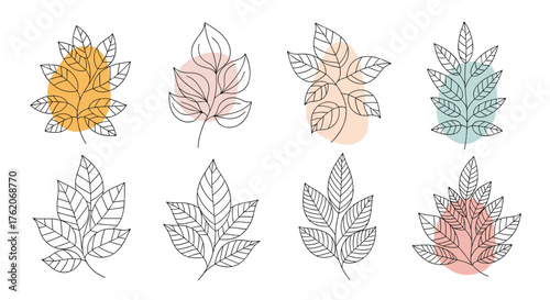 Abstract botanical leaf illustrations with colorful pastel shapes.