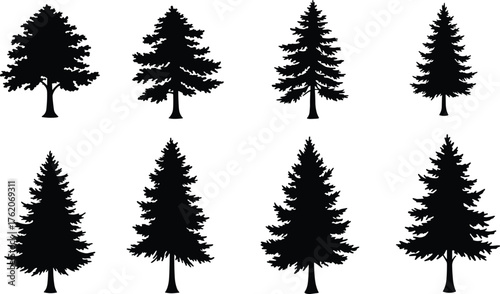 Evergreen tree silhouette set, coniferous forest icons, pine shape variations, botanical illustration, nature design elements, black vector trees, isolated