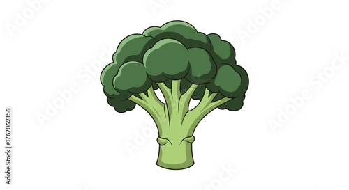 A simple cartoon illustration of a healthy green broccoli.