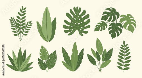 A collection of diverse green foliage and leafy tropical plants.