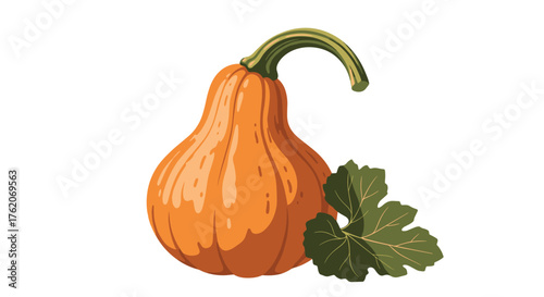 An orange butternut squash with a green stem and a leaf.