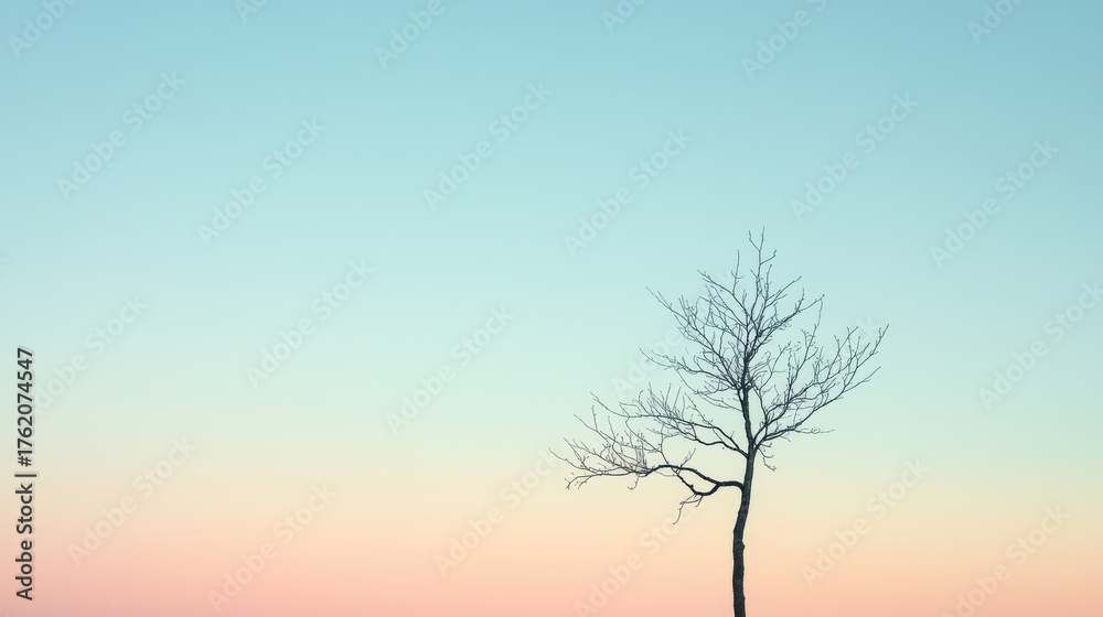 Obraz premium Lonely tree stands against a pastel sky during twilight in a serene landscape