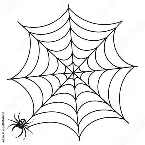 Halloween Spider Web: a classic halloween image featuring a black spider and its intricate web, it's a great choice for conveying spooky festive or decoration themes.